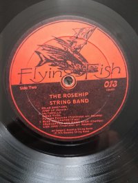 THE ROSEHIP STRING BAND THE ROSEHIP STRING BAND