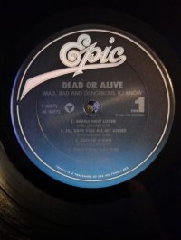 DEAD OR ALIVE top condition!! (not meshok) DEAD OR ALIVE top condition!! (not meshok)