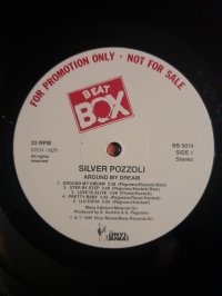 SILVER POZZOLI  PROMO COPY!!