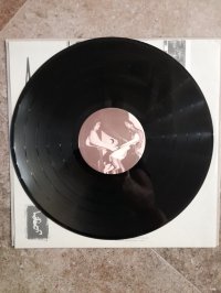 RAINBOW stock RAINBOW stock