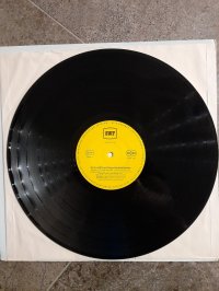 PETER HERBOLZNEIMER SWF-FORMATION 