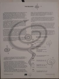 THE BELOVED THE BELOVED