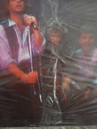 DRESDEN CHINA  * TOP CONDITION!!!!!!!