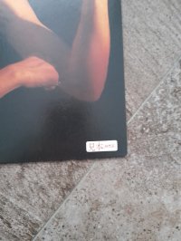 BILLY IDOL  PROMO COPY!!  