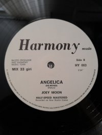 JOEY MOON  single 12", 33 &#8531; RPM project Roberto Zanetti (SAVAGE)