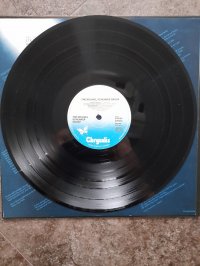 THE MICHAEL SCHENKER GROUP 