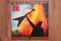 THE MICHAEL SCHENKER GROUP 