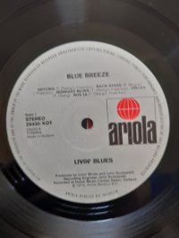 LIVIN' BLUES  meshok