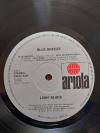 LIVIN' BLUES  meshok