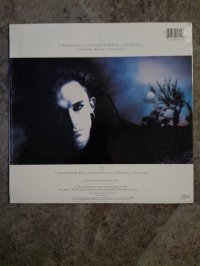 DEAD OR ALIVE top condition!! (not meshok) DEAD OR ALIVE top condition!! (not meshok)