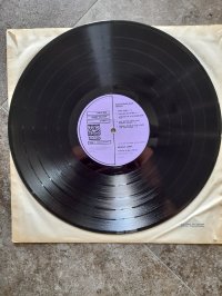 MUNGO JERRY MUNGO JERRY