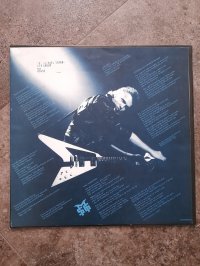 THE MICHAEL SCHENKER GROUP 