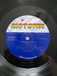 STEPHEN COHN                                                  STEPHEN COHN