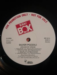 SILVER POZZOLI  PROMO COPY!!